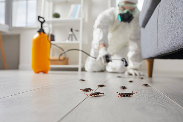 Commercial Kitchen Cockroach Control in Pickens